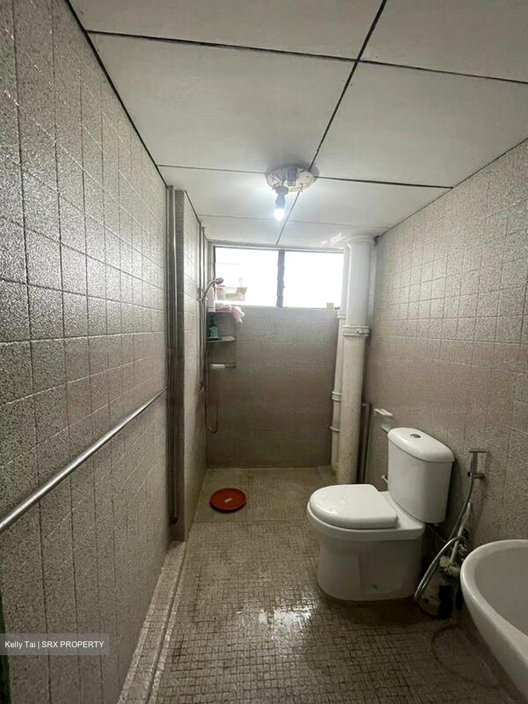 Laguna Park (D15), Apartment #458438121